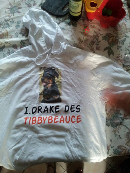 I'drake Des Tibbybeauce